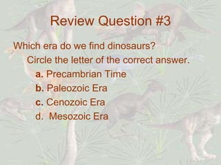 Review Question #3
Which era do we find dinosaurs?
Circle the letter of the correct answer.
a. Precambrian Time
b. Paleozoic Era
c. Cenozoic Era
d. Mesozoic Era
 