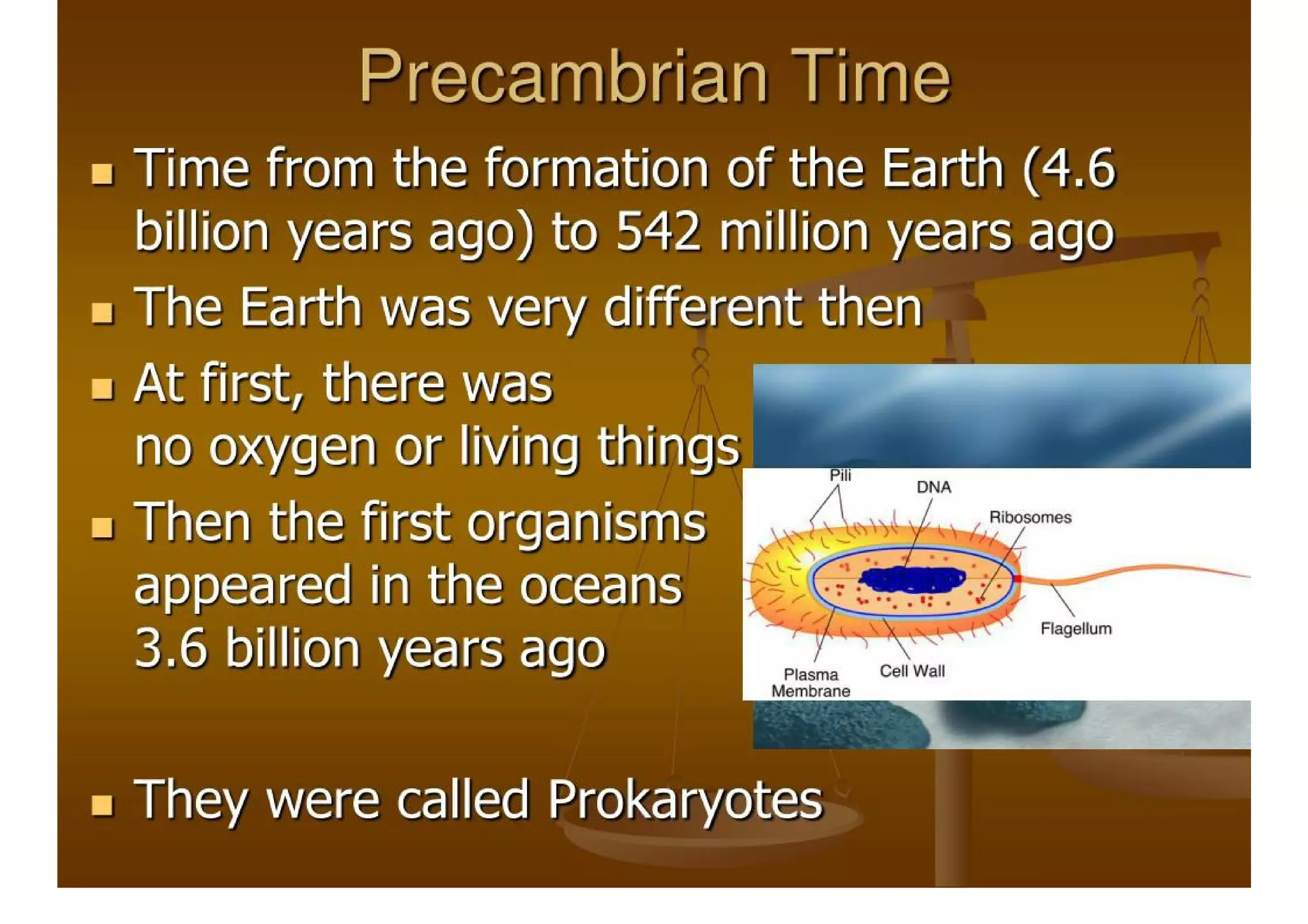 Geologic Time Scale