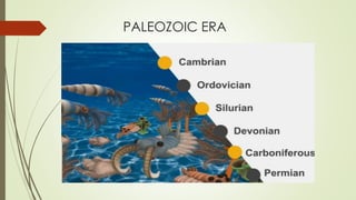 PALEOZOIC ERA
 