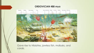 ORDOVICIAN 488 mya
Gave rise to trilobites, jawless fish, mollusks, and
corals.
 