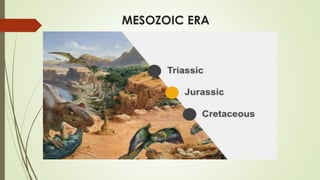 MESOZOIC ERA
 