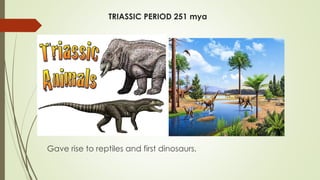 TRIASSIC PERIOD 251 mya
Gave rise to reptiles and first dinosaurs.
 