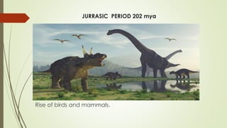 JURRASIC PERIOD 202 mya
Rise of birds and mammals.
 