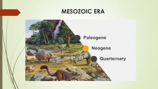 MESOZOIC ERA
 