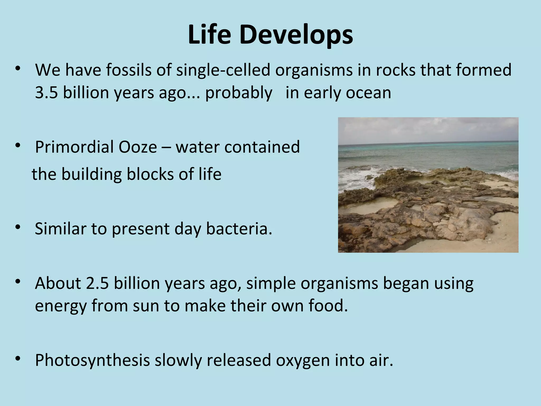 Life Develops
• We have fossils of single-celled organisms in rocks that formed
3.5 billion years ago... probably in early ocean
• Primordial Ooze – water contained
the building blocks of life
• Similar to present day bacteria.
• About 2.5 billion years ago, simple organisms began using
energy from sun to make their own food.
• Photosynthesis slowly released oxygen into air.
 