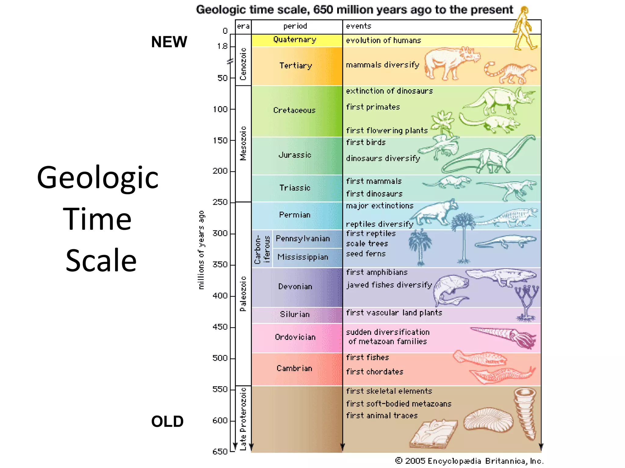 Geologic
Time
Scale
OLD
NEW
 