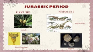 Geologic Time Scale, History of Life on Earth, General Biology | PPTX