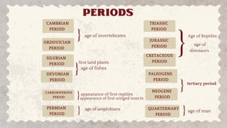 Geologic Time Scale, History of Life on Earth, General Biology | PPTX