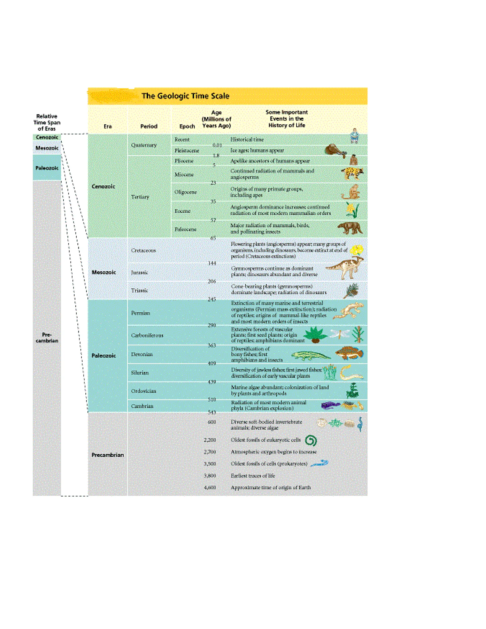 Geologic Time Scale Activity Sheet for SHS | PDF | Geology | Science
