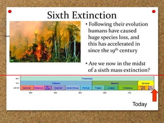 Geologic Time Scale (Group 4).pptx
