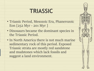 prezentr.com!
TRIASSIC
• Triassic Period, Mesozoic Era, Phanerozoic
Eon [252 Myr - 201 Myr ]
• Dinosaurs became the dominant species in
the Triassic Period.
• In North America there is not much marine
sedimentary rock of this period. Exposed
Triassic strata are mostly red sandstone
and mudstones which lack fossils and
suggest a land environment.
 