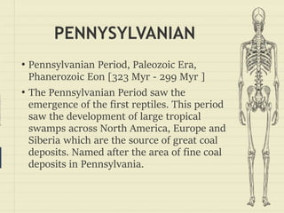 prezentr.com!
PENNYSYLVANIAN
• Pennsylvanian Period, Paleozoic Era,
Phanerozoic Eon [323 Myr - 299 Myr ]
• The Pennsylvanian Period saw the
emergence of the first reptiles. This period
saw the development of large tropical
swamps across North America, Europe and
Siberia which are the source of great coal
deposits. Named after the area of fine coal
deposits in Pennsylvania.
 