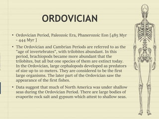 prezentr.com!
ORDOVICIAN
• Ordovician Period, Paleozoic Era, Phanerozoic Eon [485 Myr
- 444 Myr ]
• The Ordovician and Cambrian Periods are referred to as the
"age of invertebrates", with trilobites abundant. In this
period, brachiopods became more abundant that the
trilobites, but all but one species of them are extinct today.
In the Ordovician, large cephalopods developed as predators
of size up to 10 meters. They are considered to be the first
large organisms. The later part of the Ordovician saw the
appearance of the first fishes.
• Data suggest that much of North America was under shallow
seas during the Ordovician Period. There are large bodies of
evaporite rock salt and gypsum which attest to shallow seas.
 