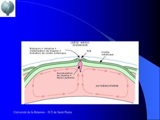 Université de la Réunion – IUT de Saint Pierre
 