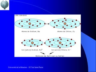 Université de la Réunion – IUT de Saint Pierre
 