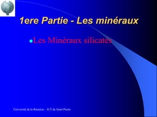 1ere Partie - Les minéraux

               Les Minéraux silicatés




Université de la Réunion – IUT de Saint Pierre
 