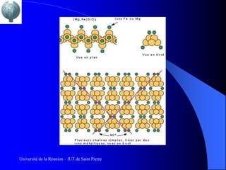 Université de la Réunion – IUT de Saint Pierre
 