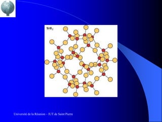 Université de la Réunion – IUT de Saint Pierre
 
