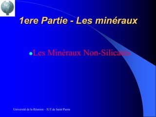 1ere Partie - Les minéraux


               Les Minéraux Non-Silicatés




Université de la Réunion – IUT de Saint Pierre
 