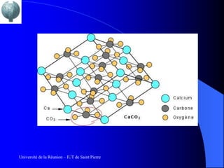 Université de la Réunion – IUT de Saint Pierre
 