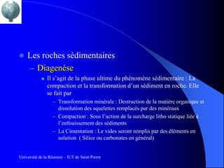    Les roches sédimentaires
     – Diagenèse
               Il s’agit de la phase ultime du phénomène sédimentaire : La
                compaction et la transformation d’un sédiment en roche. Elle
                se fait par
                  – Transformation minérale : Destruction de la matière organique et
                    dissolution des squelettes remplacés par des minéraux
                  – Compaction : Sous l’action de la surcharge litho statique liée à
                    l’enfouissement des sédiments
                  – La Cimentation : Le vides seront remplis par des éléments en
                    solution ( Silice ou carbonates en général)


Université de la Réunion – IUT de Saint Pierre
 