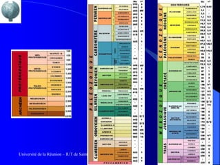Université de la Réunion – IUT de Saint Pierre
 
