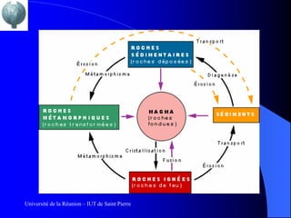 Université de la Réunion – IUT de Saint Pierre
 