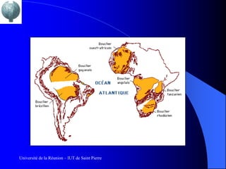 Université de la Réunion – IUT de Saint Pierre
 