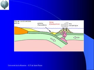 Université de la Réunion – IUT de Saint Pierre
 