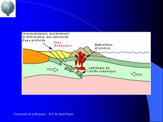 Université de la Réunion – IUT de Saint Pierre
 