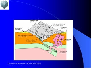 Université de la Réunion – IUT de Saint Pierre
 
