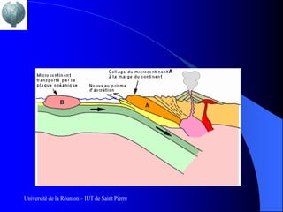 Université de la Réunion – IUT de Saint Pierre
 