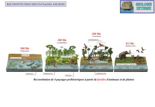 RECONSTITUTION DES PAYSAGES ANCIENS

200 Ma
300 Ma
0.2 Ma
500 Ma

Reconstitution de 4 paysages préhistoriques à partir de fossiles d’animaux et de plantes

 