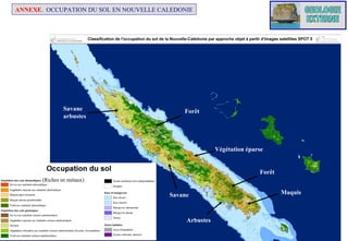 ANNEXE. OCCUPATION DU SOL EN NOUVELLE CALEDONIE

Savane
arbustes

Forêt

Végétation éparse

Forêt
(Riches en métaux)

Savane

Arbustes

Maquis

 