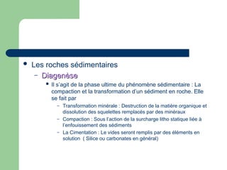  Les roches sédimentaires
– Diagenèse
Diagenèse
 Il s’agit de la phase ultime du phénomène sédimentaire : La
compaction et la transformation d’un sédiment en roche. Elle
se fait par
– Transformation minérale : Destruction de la matière organique et
dissolution des squelettes remplacés par des minéraux
– Compaction : Sous l’action de la surcharge litho statique liée à
l’enfouissement des sédiments
– La Cimentation : Le vides seront remplis par des éléments en
solution ( Silice ou carbonates en général)
 