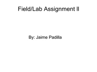 Field/Lab Assignment ll ,[object Object]