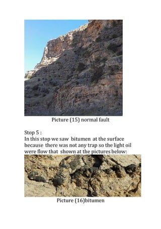 field trip report in geology
