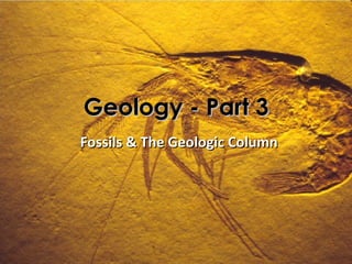 Geology - Part 3
Fossils & The Geologic Column
 