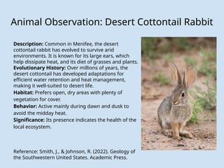Geology 103: Nareen Clute Lab Project Slides | PPTX