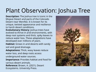 Geology 103: Nareen Clute Lab Project Slides | PPTX