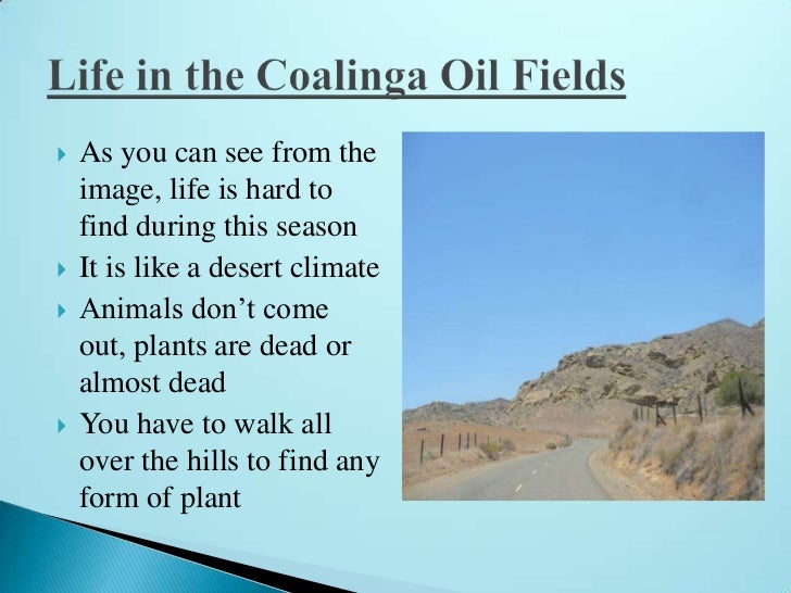Coalinga Oil Fields