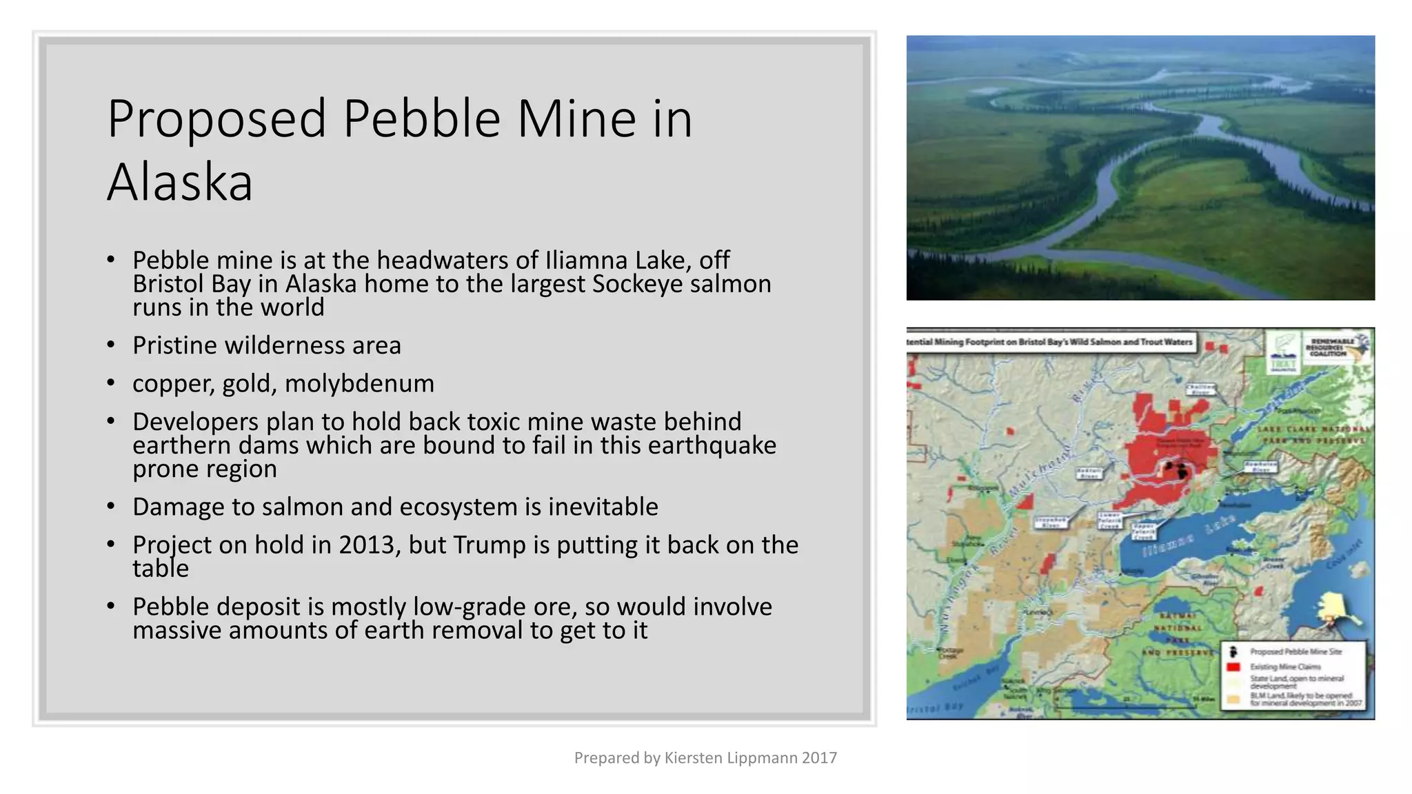 Proposed Pebble Mine in
Alaska
• Pebble mine is at the headwaters of Iliamna Lake, off
Bristol Bay in Alaska home to the largest Sockeye salmon
runs in the world
• Pristine wilderness area
• copper, gold, molybdenum
• Developers plan to hold back toxic mine waste behind
earthern dams which are bound to fail in this earthquake
prone region
• Damage to salmon and ecosystem is inevitable
• Project on hold in 2013, but Trump is putting it back on the
table
• Pebble deposit is mostly low-grade ore, so would involve
massive amounts of earth removal to get to it
Prepared by Kiersten Lippmann 2017
 