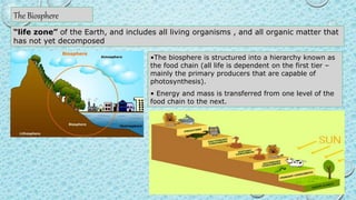 The Biosphere
“life zone” of the Earth, and includes all living organisms , and all organic matter that
has not yet decomposed
•The biosphere is structured into a hierarchy known as
the food chain (all life is dependent on the first tier –
mainly the primary producers that are capable of
photosynthesis).
• Energy and mass is transferred from one level of the
food chain to the next.
 