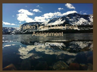 Fallen Leaf Lake Field
Assignment
Riley Chestnut
 