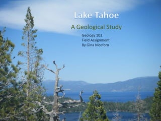 A Geological Study
Geology 103
Field Assignment
By Gina Niceforo
 