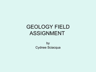 GEOLOGY FIELD ASSIGNMENT   by Cydnee Sciacqua 