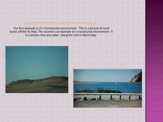 Sedimentary EnvironmentsThe first example is of a Continental environment.  This is a picture of sand dunes off the 41 Hwy. The second is an example of a transitional environment. It is a picture that was taken  along the cost in Morro Bay.