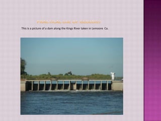                Practical Use of Geology             This is a picture of a dam along the Kings River taken in Lemoore  Ca.