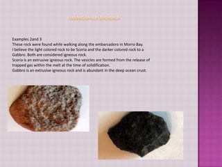 Igneous RocksExamples 2and 3These rock were found while walking along the embarcadero in Morro Bay.I believe the light colored rock to be Scoria and the darker colored rock to a Gabbro. Both are considered igneous rock. Scoria is an extrusive igneous rock. The vesicles are formed from the release of trapped gas within the melt at the time of solidification.Gabbro is an extrusive igneous rock and is abundant in the deep ocean crust.