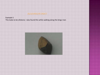 SedimentaryExample 5This looks to be siltstone. I also found this while walking along the kings river. 